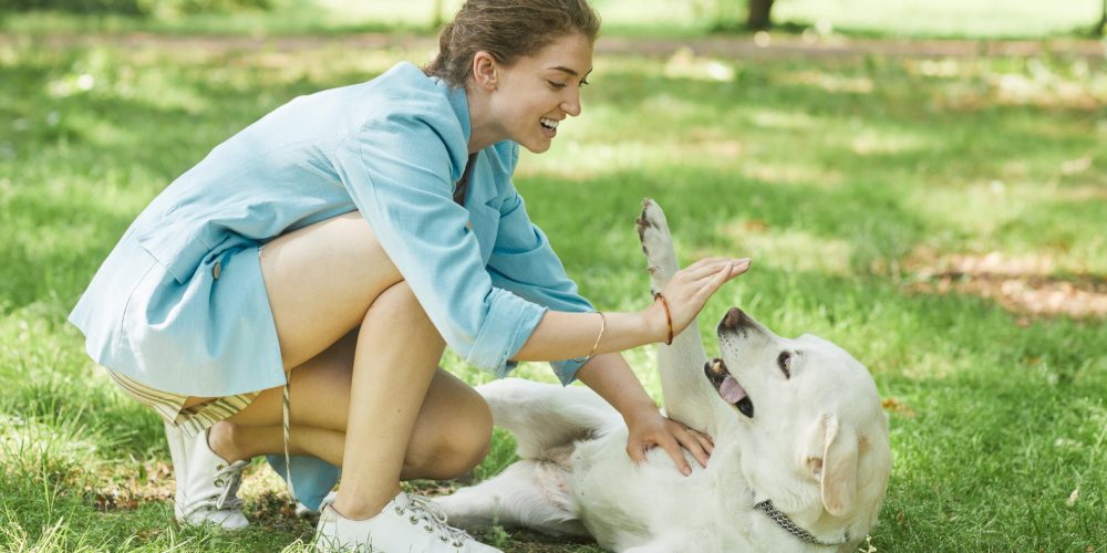 Full length portrait of smiling young woman playing with dog outdoors while enjoying walk together in park